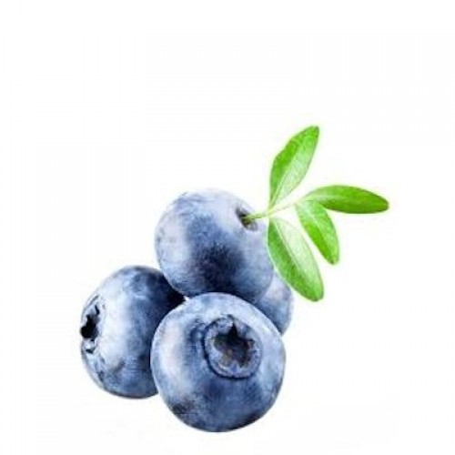DAISY DUKES Blueberry Burst