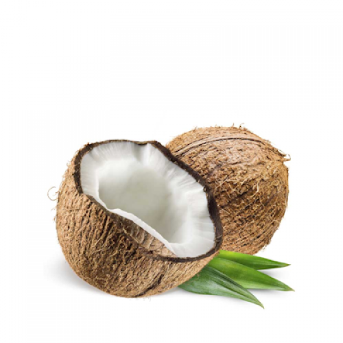 DAISY DUKES Coconut
