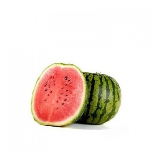 DAISY DUKES Watermelon