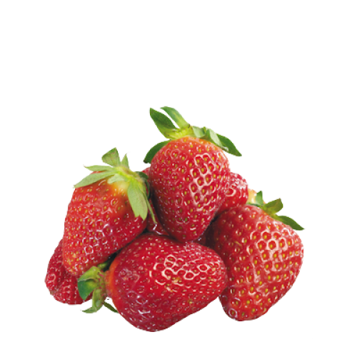 strawberry-500×500-1-2.png